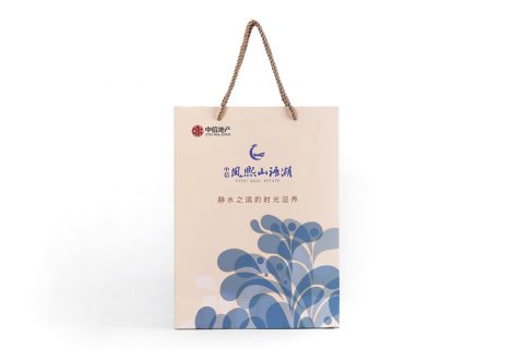 中信地产手提袋