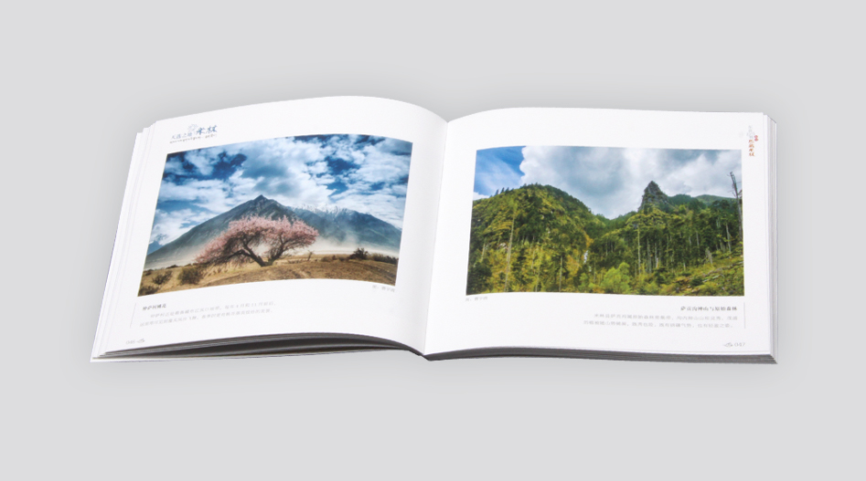 上海印刷公司-摄影画册印刷