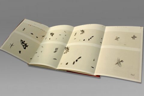 如何制作高档画册？