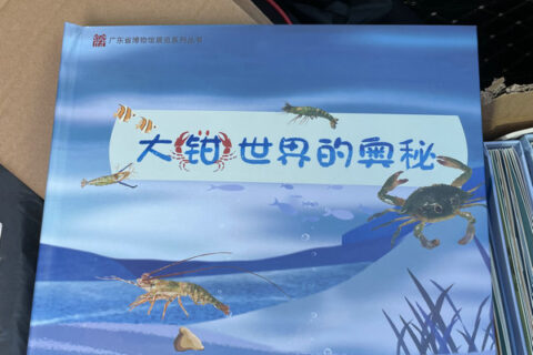 图画印刷中的视觉特点