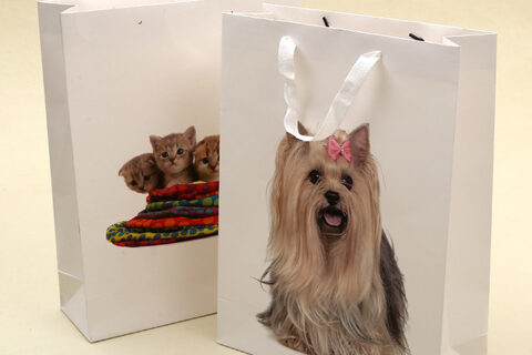 画册该怎么印刷